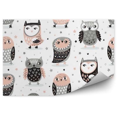 Detská fototapeta Kreslené sovy