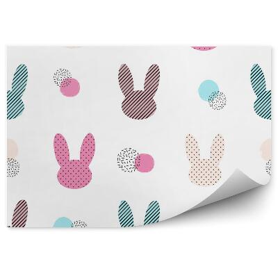 Fototapeta na stenu Farebné zajačiky