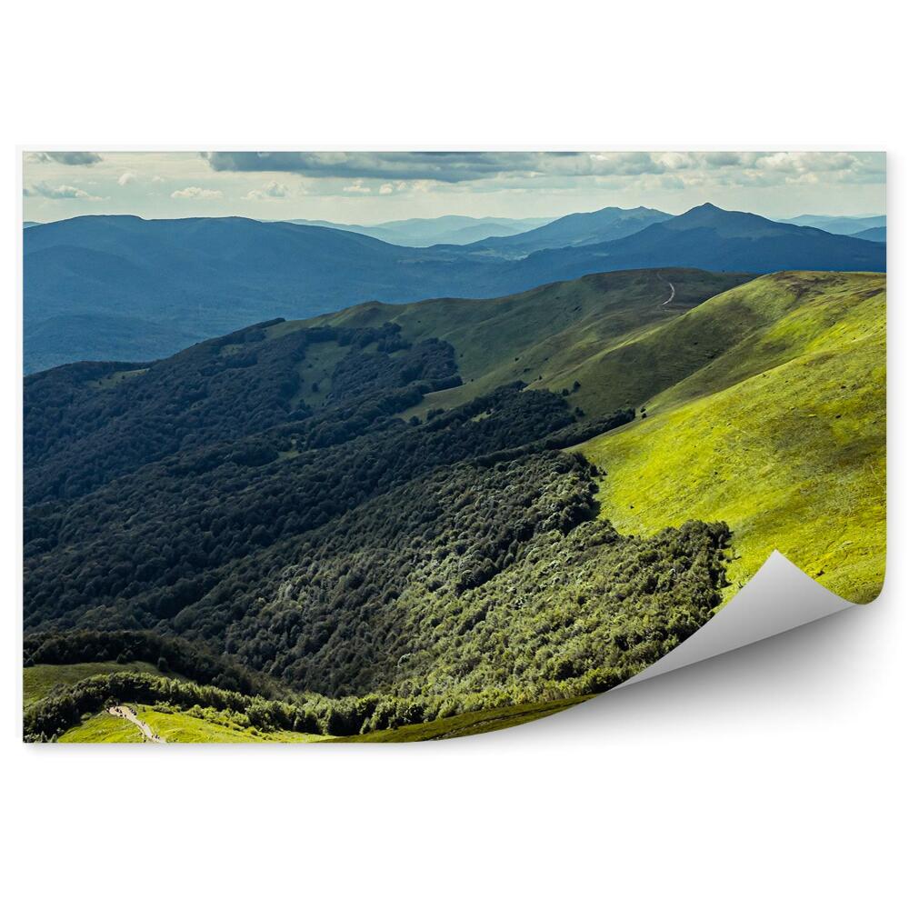 Fototapeta Les stromy hory zeleň príroda