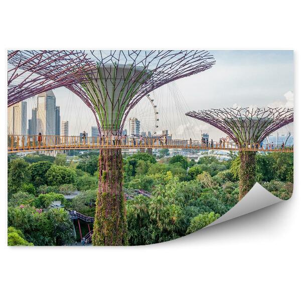 Fototapeta na stenu Singapur Rastliny Park Architektúra