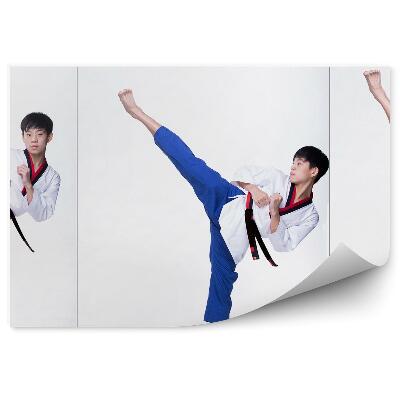 Fototapeta Najstniški karate kolaž
