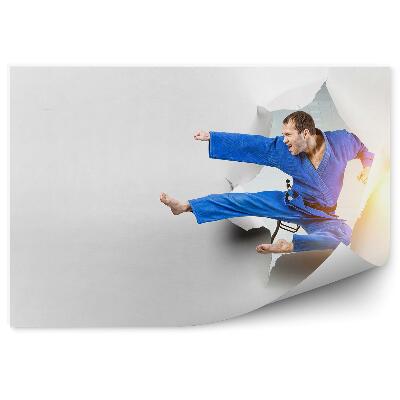Fototapeta na stenu Papir za karate udarce