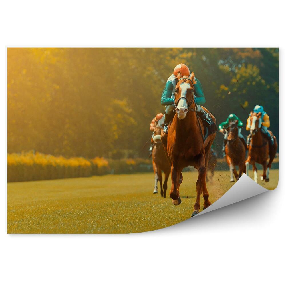 Fototapeta na stenu Dostihové kone džokej stromy tráva