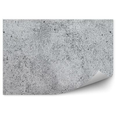 Fototapeta Textúra čerstvého betónu