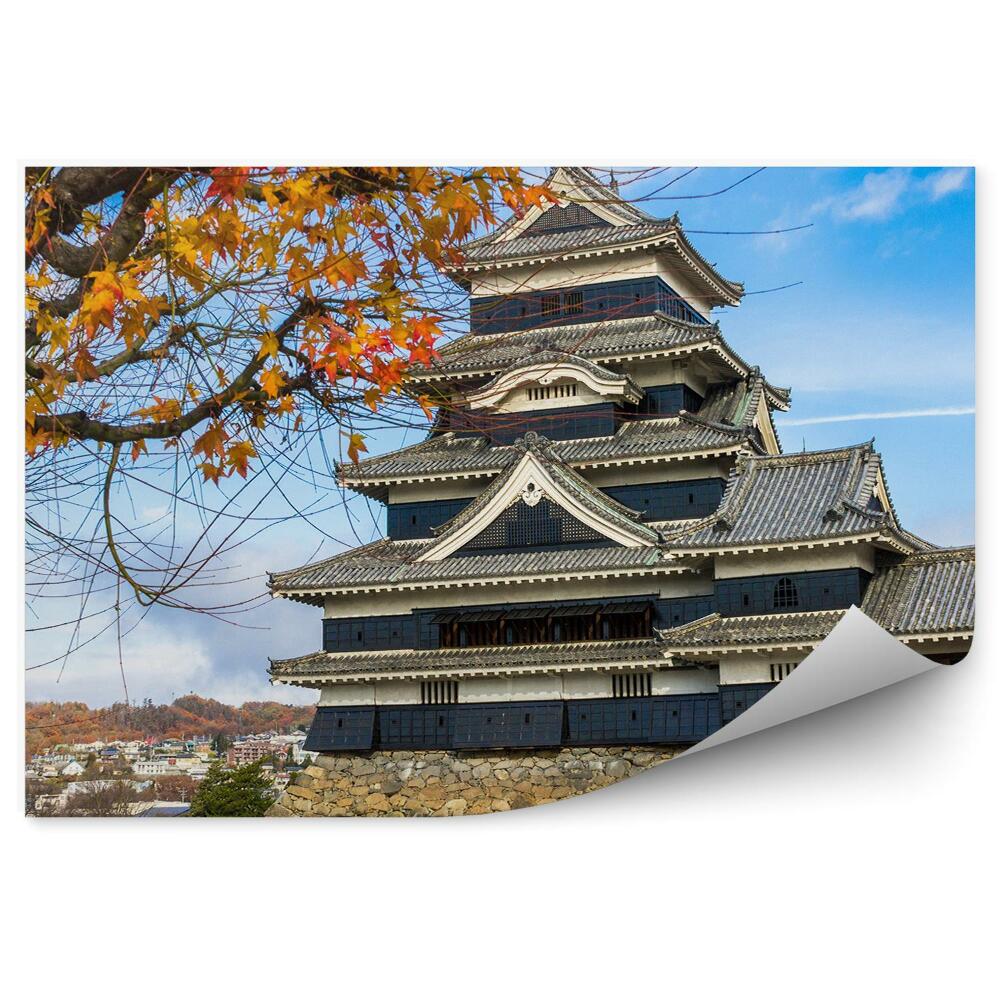 Fototapeta na stenu Jesenné farebné lístie japonsko zámok voda