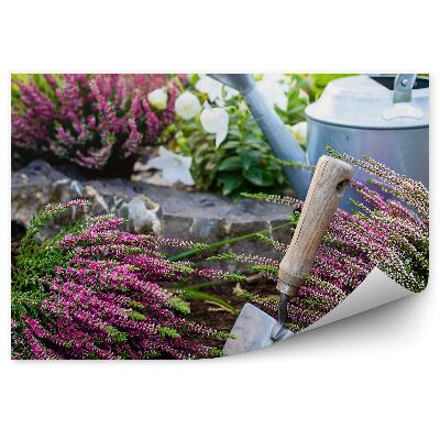 Fototapeta Vres V Záhrade