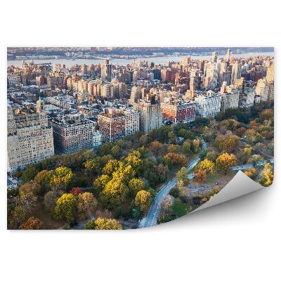 Fototapeta Mrakodrapy cesta les stromy rieka New York