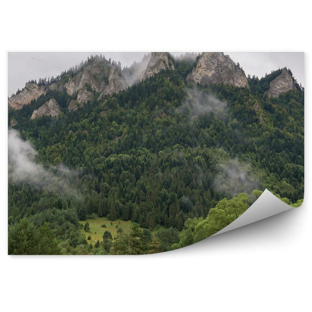 Fototapeta Tri koruny v hmle vrchol pienin