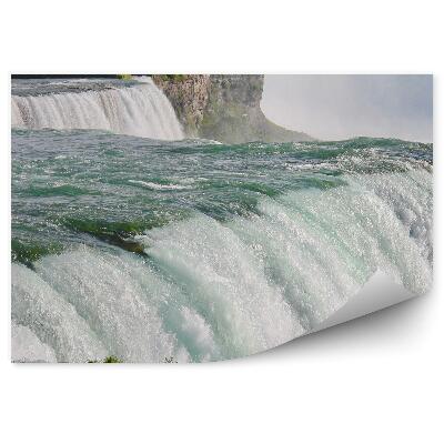 Fototapeta Niagarské vodopády stromy rastliny skaly