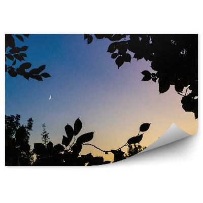 Fototapeta Listy zapadajúceho slnka
