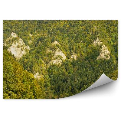 Fototapeta Splav na pltiach po Dunaji lesné pohorie pieniny