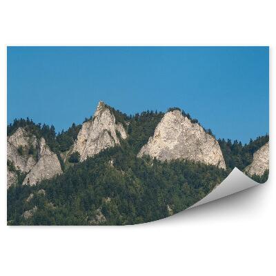 Fototapeta na stenu Pohľad na vrchol pienin Trzy Korony