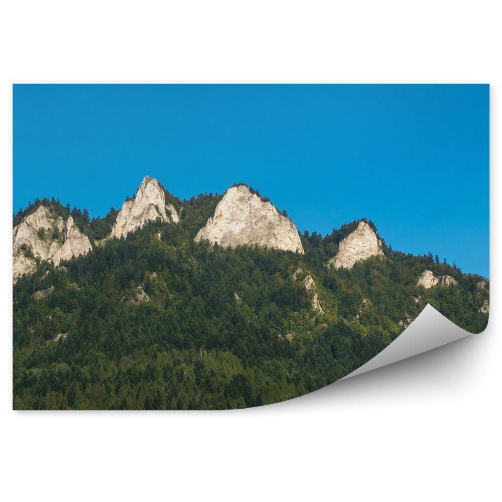 Fototapeta Tri koruny v pieninských skalách modrá obloha