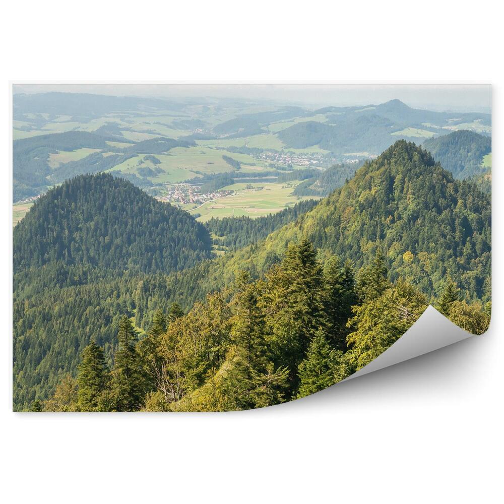 Fototapeta na stenu Vrcholy pienin zelené