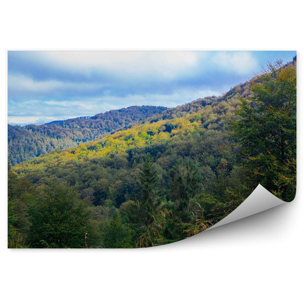 Fototapeta na stenu Príroda krajina vianočné stromy hory v bieszczady