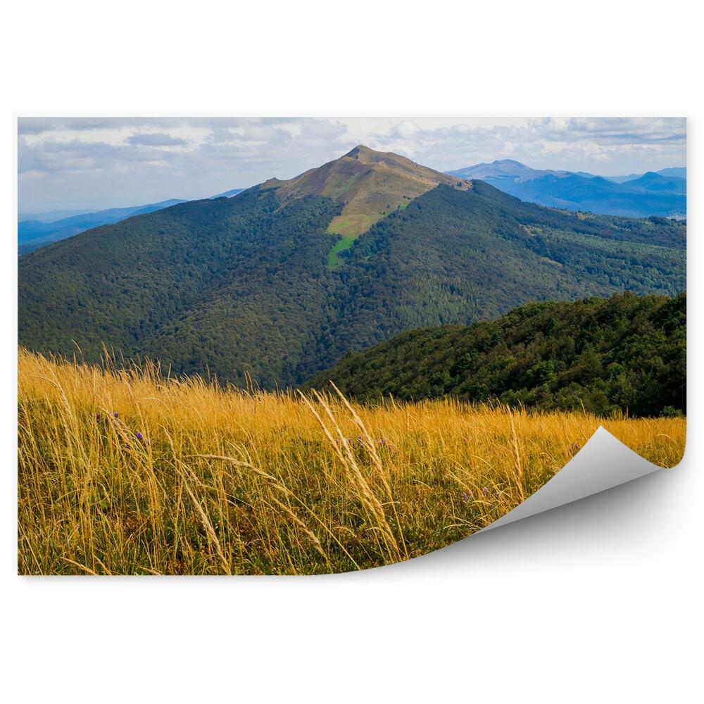 Fototapeta Hory v Bieszczadoch poľana vegetácia zeleň
