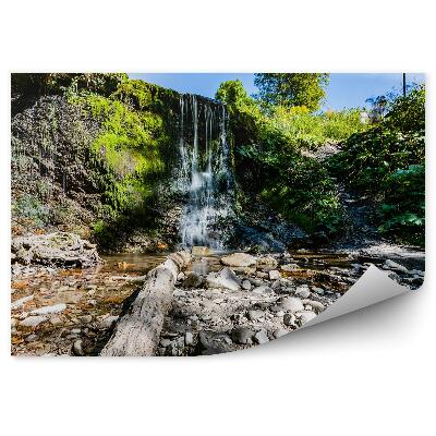 Fototapeta Malý vodopád vegetácia skaly bieszczady