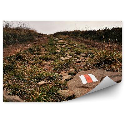 Fototapeta na stenu Horský chodník trávy zeleň