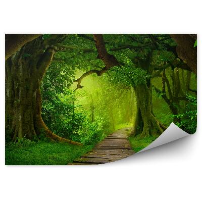 Fototapeta Ázijská tropická džungľa drevená plošina