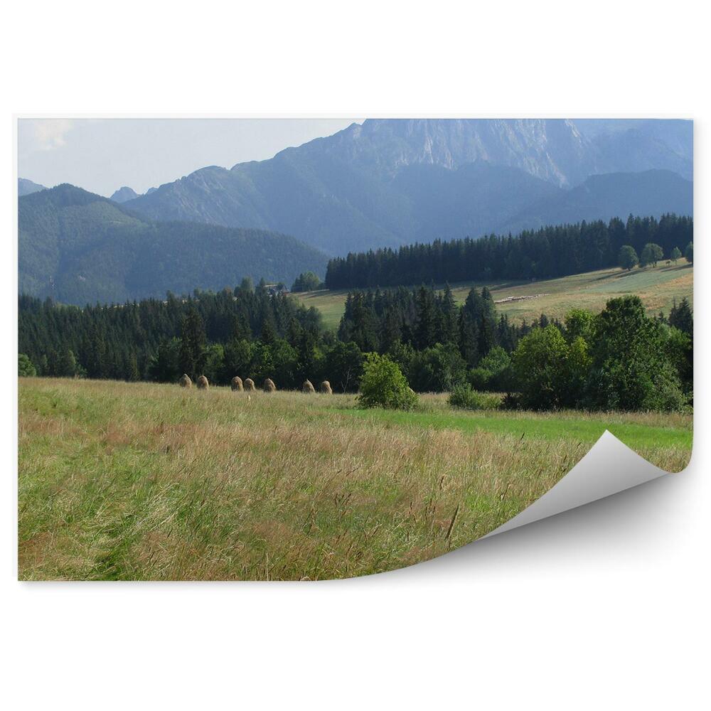 Fototapeta na stenu Giewont hory ihličnaté stromy lúka obloha mraky