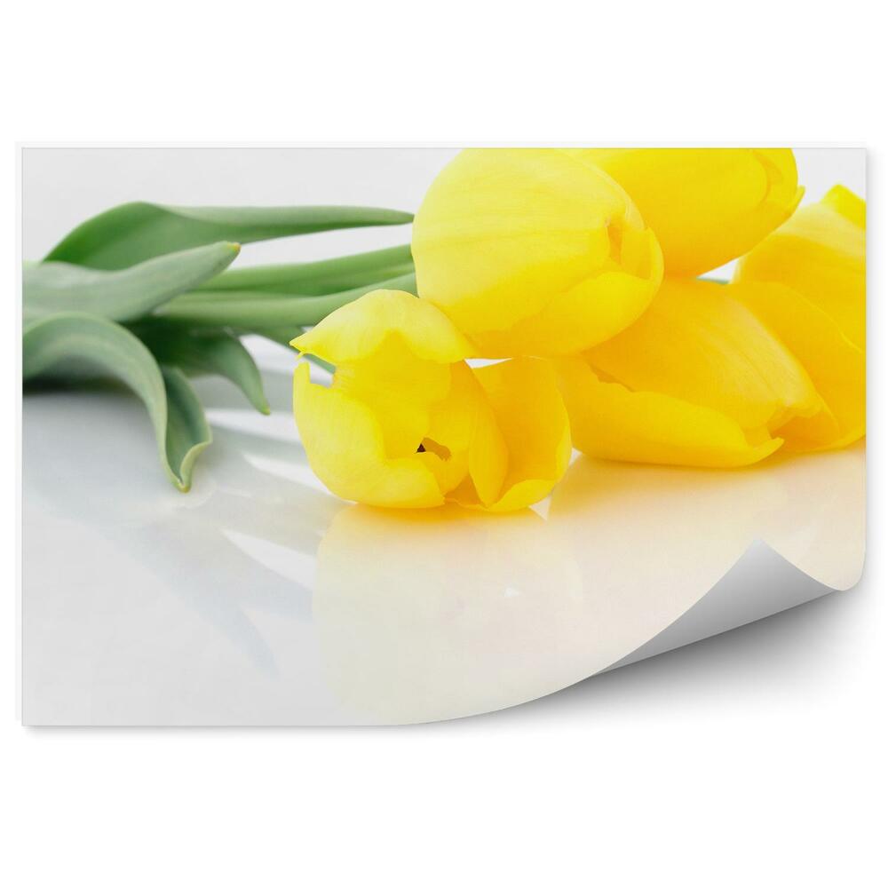 Fototapeta Päť Žltých Kvetov Tulipánov Rastlina