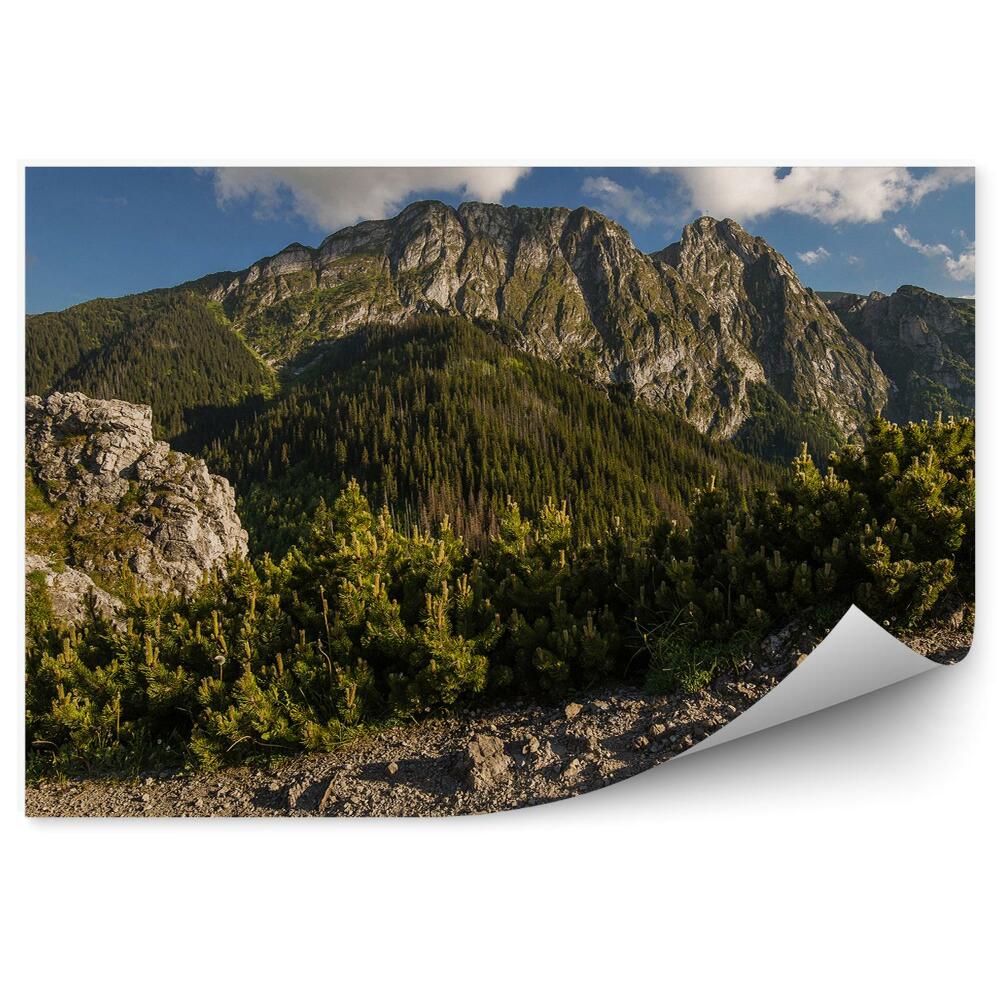 Fototapeta Giewont tatry hory stromy ihličnaté skaly obloha mraky