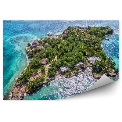 Fototapeta na stenu Pohľad Z Vtáčej Perspektívy Domy Ostrov Rosario Stromy Lode