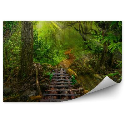 Fototapeta na stenu Ázijská tropická džungľa drevený chodník