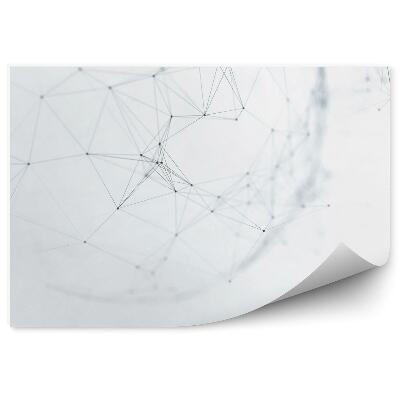 Fototapeta na stenu Abstraktná futuristická sieť