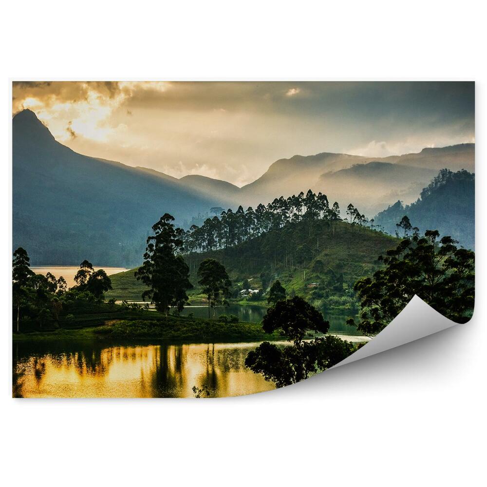 Fototapeta na stenu Panoráma čajovej plantáže západ slnka