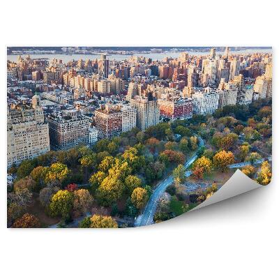 Fototapeta Mestská architektúra stromy park jeseň