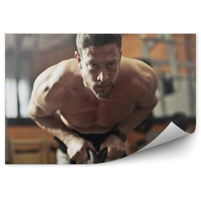 Fototapeta Vadba na sobnem kolesu