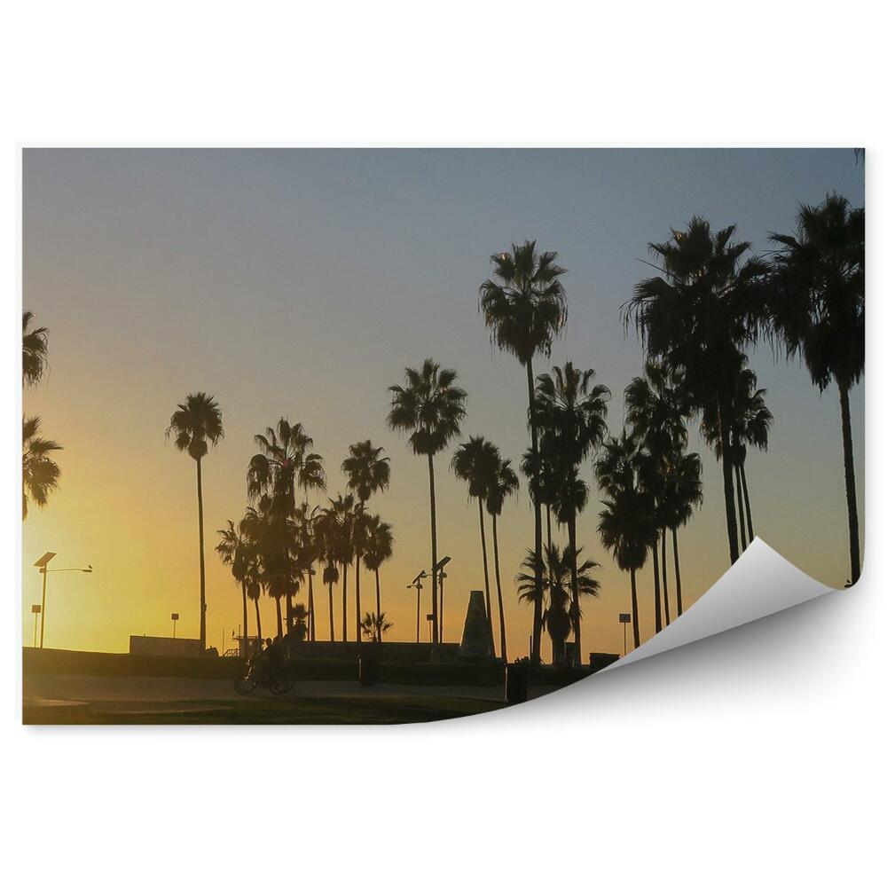 Fototapeta na stenu Palmy západ slnka pláž kalifornia