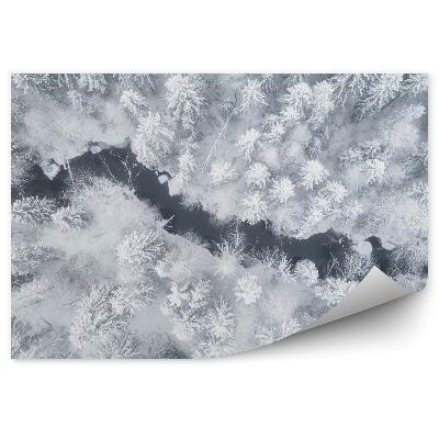 Fototapeta Zimný les pohľad na rieku