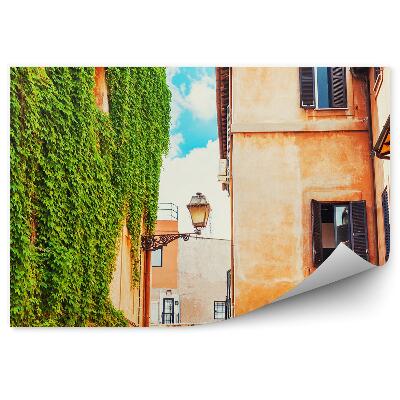 Fototapeta Príroda Brečtan Budovy Architektúra Mesto