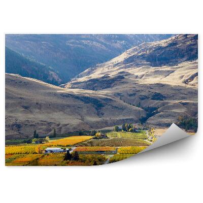 Fototapeta na stenu Hory polia domy