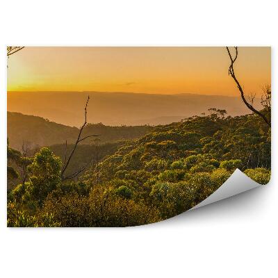 Fototapeta na stenu Západ Slnka Džungľa Rastliny Stromy Príroda