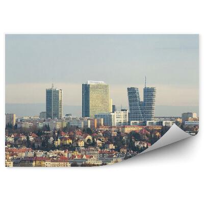 Fototapeta na stenu Panoráma pohľad budovy stromy obloha praha