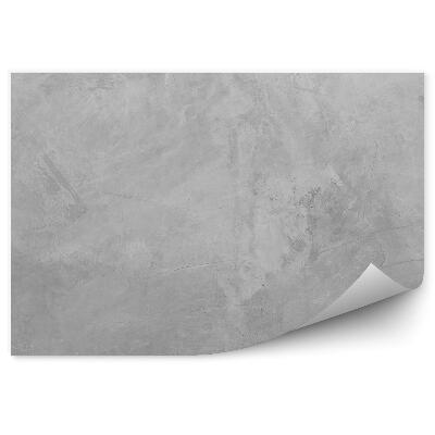 Fototapeta na stenu Sivá betónová stena