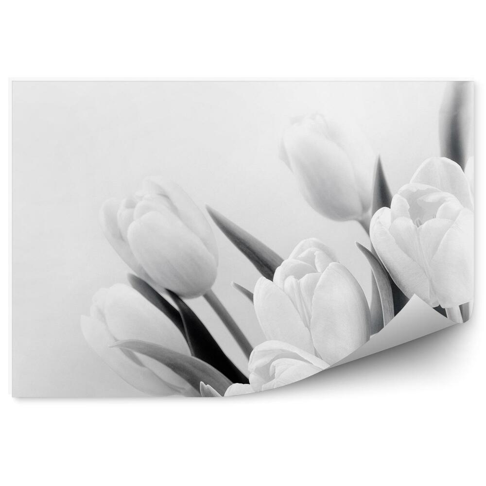 Fototapeta na stenu Tulipánové Kvety Sépiový Vzor