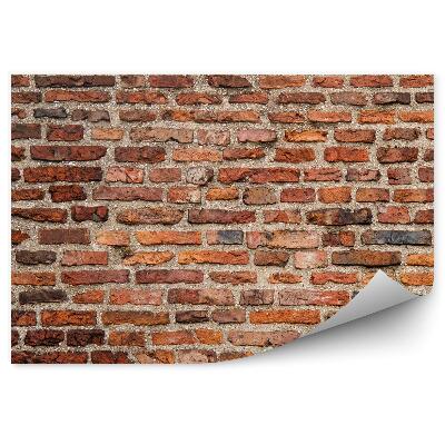 Fototapeta Staršia tehlová stena