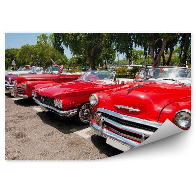 Fototapeta Historické klasické americké autá