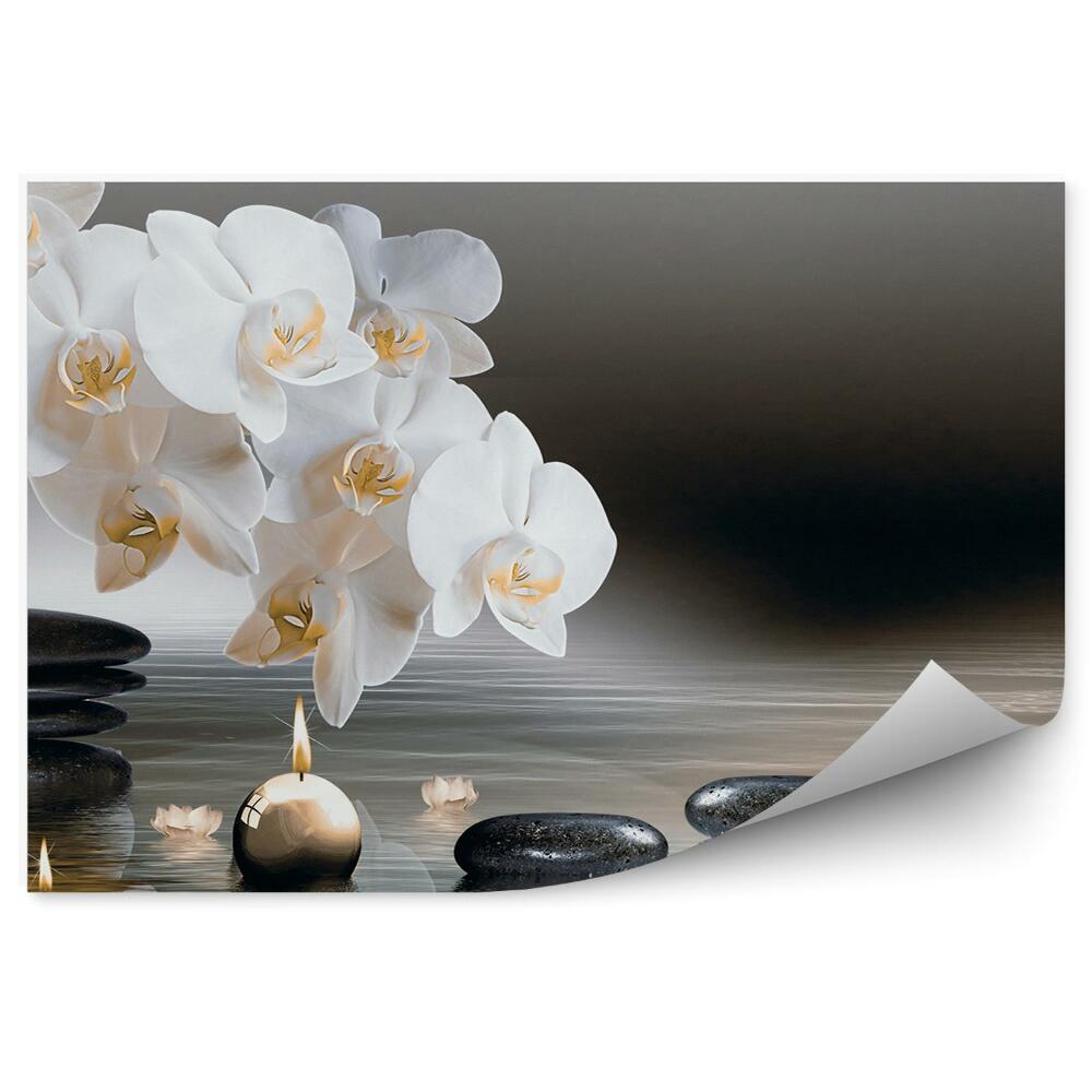 Fototapeta Biela Orchidea Kamene Vodné Sviečky