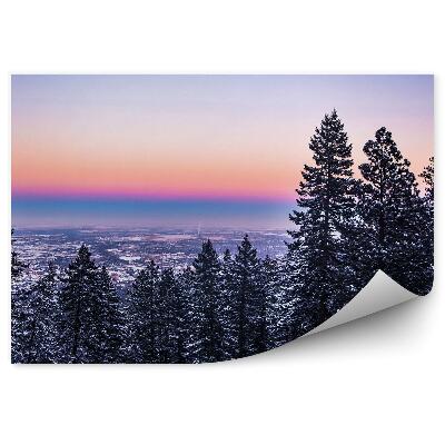 Fototapeta Mesto Ihličnaté Stromy Zimný Sneh Západ Slnka