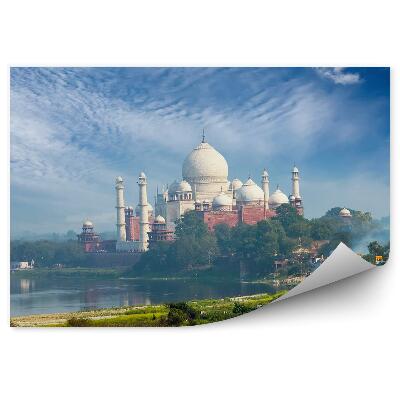 Fototapeta India príroda zeleň taj mahal