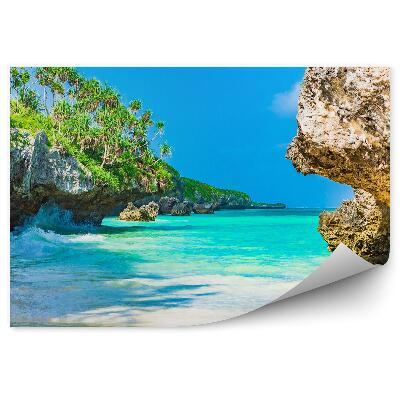 Fototapeta na stenu Oceán Stromy Skaly Tanzánia Vlny Pláže Tráva