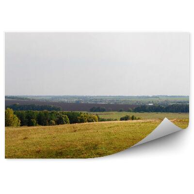 Fototapeta na stenu Lúka línia horizontu zelená