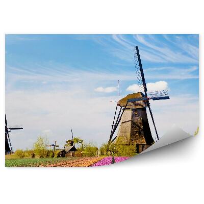 Fototapeta na stenu Podeželje Nizozemska mlini na veter med cvetličnimi polji