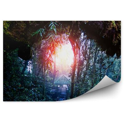 Fototapeta Tropický les stavba cesty listy