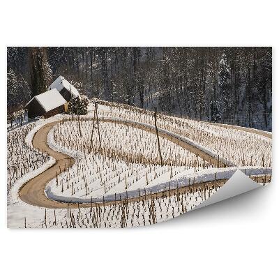 Fototapeta Zimné Sneh Cesty Tvar Srdca Príroda